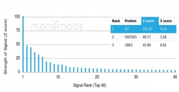 Analysis of a HuProt(TM) microarray containing more than 19,000 full-length human proteins using CD117 antibody (clone C117/6347). Z- and S- Score: The Z-score represents the strength of a signal that a monoclonal antibody (in combination with a fluorescently-tagged anti-IgG secondary antibody) produces when binding to a particular protein on the HuProt(TM) array. Z-scores are described in units of standard deviations (SD's) above the mean value of all signals generated on that array. If targets on HuProt(TM) are arranged in descending order of the Z-score, the S-score is the difference (also in units of SD's) between the Z-score. S-score therefore represents the relative target specificity of a mAb to its intended target. A mAb is considered to specific to its intended target, if the mAb has an S-score of at least 2.5. For example, if a mAb binds to protein X with a Z-score of 43 and to protein Y with a Z-score of 14, then the S-score for the binding of that mAb to protein X is equal to 29.