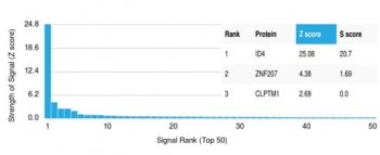 Analysis of a HuProt(TM) microarray containing more than 19,000 full-length human proteins using Inhibitor of DNA binding 4 antibody (clone PCRP-ID4-1A10). Z- and S- Score: The Z-score represents the strength of a signal that a monoclonal antibody (in combination with a fluorescently-tagged anti-IgG secondary antibody) produces when binding to a particular protein on the HuProt(TM) array. Z-scores are described in units of standard deviations (SD's) above the mean value of all signals generated on that array. If targets on HuProt(TM) are arranged in descending order of the Z-score, the S-score is the difference (also in units of SD's) between the Z-score. S-score therefore represents the relative target specificity of a mAb to its intended target. A mAb is considered to specific to its intended target, if the mAb has an S-score of at least 2.5. For example, if a mAb binds to protein X with a Z-score of 43 and to protein Y with a Z-score of 14, then the S-score for the binding of that mAb to protein X is equal to 29.