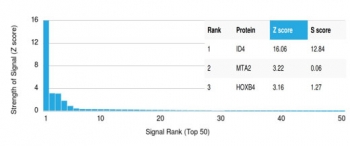 Analysis of a HuProt(TM) microarray containing more than 19,000 full-length human proteins using ID4 antibody (clone PCRP-ID4-1A1). Z- and S- Score: The Z-score represents the strength of a signal that a monoclonal antibody (in combination with a fluorescently-tagged anti-IgG secondary antibody) produces when binding to a particular protein on the HuProt(TM) array. Z-scores are described in units of standard deviations (SD's) above the mean value of all signals generated on that array. If targets on HuProt(TM) are arranged in descending order of the Z-score, the S-score is the difference (also in units of SD's) between the Z-score. S-score therefore represents the relative target specificity of a mAb to its intended target. A mAb is considered to specific to its intended target, if the mAb has an S-score of at least 2.5. For example, if a mAb binds to protein X with a Z-score of 43 and to protein Y with a Z-score of 14, then the S-score for the binding of that mAb to protein X is equal to 29.