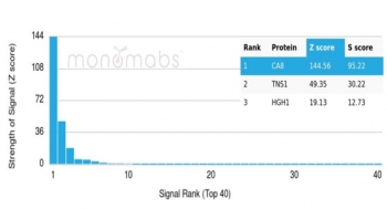 Analysis of a HuProt(TM) microarray containing more than 19,000 full-length human proteins using Carbonic Anhydrase VIII antibody (clone CA8/6814). Z- and S- Score: The Z-score represents the strength of a signal that a monoclonal antibody (in combination with a fluorescently-tagged anti-IgG secondary antibody) produces when binding to a particular protein on the HuProt(TM) array. Z-scores are described in units of standard deviations (SD's) above the mean value of all signals generated on that array. If targets on HuProt(TM) are arranged in descending order of the Z-score, the S-score is the difference (also in units of SD's) between the Z-score. S-score therefore represents the relative target specificity of a mAb to its intended target. A mAb is considered to specific to its intended target, if the mAb has an S-score of at least 2.5. For example, if a mAb binds to protein X with a Z-score of 43 and to protein Y with a Z-score of 14, then the S-score for the binding of that mAb to protein X is equal to 29.