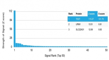 Analysis of HuProt(TM) microarray containing more than 19,000 full-length human proteins using TIGIT antibody (clone TIGIT/3018). These results demonstrate the foremost specificity of the TIGIT/3018 mAb. Z- and S- score: The Z-score represents the strength of a signal that an antibody (in combination with a fluorescently-tagged anti-IgG secondary Ab) produces when binding to a particular protein on the HuProt(TM) array. Z-scores are described in units of standard deviations (SD's) above the mean value of all signals generated on that array. If the targets on the HuProt(TM) are arranged in descending order of the Z-score, the S-score is the difference (also in units of SD's) between the Z-scores. The S-score therefore represents the relative target specificity of an Ab to its intended target.