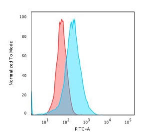 Flow cytometry testing of human U-87 MG cells with CD73 antibody (clone CDLA73-1); Red=isotype control, Blue= CD73 antibody.