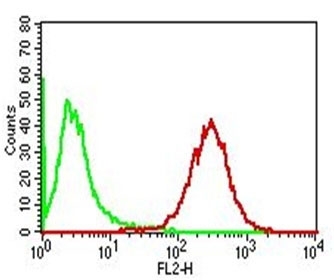 Flow cytometry testing of permeabilized human PMBC with Adipophilin antibody (clone ADFP/1365); Red=isotype control, Blue= Adipophilin antibody.