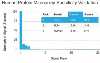 Analysis of HuProt(TM) microarray containing more than 19,000 full-length human proteins using PD-L1 antibody (clone PDL1/2742). These results demonstrate the foremost specificity of the PDL1/2742 mAb. Z- and S- score: The Z-score represents the strength of a signal that an antibody (in combination with a fluorescently-tagged anti-IgG secondary Ab) produces when binding to a particular protein on the HuProt(TM) array. Z-scores are described in units of standard deviations (SD's) above the mean value of all signals generated on that array. If the targets on the HuProt(TM) are arranged in descending order of the Z-score, the S-score is the difference (also in units of SD's) between the Z-scores. The S-score therefore represents the relative target specificity of an Ab to its intended target.