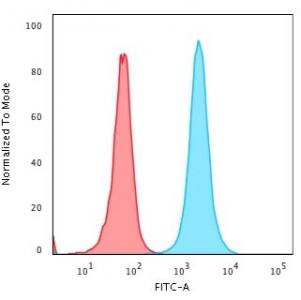 Flow cytometry testing of PFA-fixed human HeLa cells with recombinant Nucleophosmin antibody (clone rNPM1/1901); Red=isotype control, Blue= recombinant Nucleophosmin antibody.