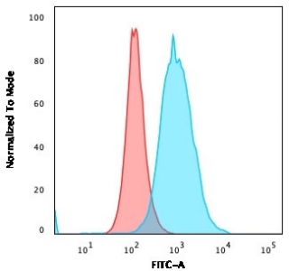 Flow cytometry testing of PFA-fixed human MOLT4 cells with recombinant Thymidylate Synthase antibody (clone rTYMS/1884); Red=isotype control, Blue= recombinant Thymidylate Synthase antibody.