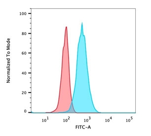 Flow cytometry testing of PFA-fixed human HeLa cells with Endoglin antibody (clone ENG/1621); Red=isotype control, Blue= Endoglin antibody.