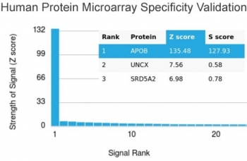 Analysis of HuProt(TM) microarray containing more than 19,000 full-length human proteins using Apolipoprotein B antibody. These results demonstrate the foremost specificity of the APOB/4333 mAb. Z- and S- score: The Z-score represents the strength of a signal that an antibody (in combination with a fluorescently-tagged anti-IgG secondary Ab) produces when binding to a particular protein on the HuProt(TM) array. Z-scores are described in units of standard deviations (SD's) above the mean value of all signals generated on that array. If the targets on the HuProt(TM) are arranged in descending order of the Z-score, the S-score is the difference (also in units of SD's) between the Z-scores. The S-score therefore represents the relative target specificity of an Ab to its intended target.