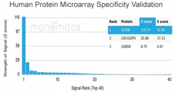 Analysis of HuProt(TM) microarray containing more than 19,000 full-length human proteins using S100B antibody (clone S100B/4140). These results demonstrate the foremost specificity of the S100B/4140 mAb. Z- and S- score: The Z-score represents the strength of a signal that an antibody (in combination with a fluorescently-tagged anti-IgG secondary Ab) produces when binding to a particular protein on the HuProt(TM) array. Z-scores are described in units of standard deviations (SD's) above the mean value of all signals generated on that array. If the targets on the HuProt(TM) are arranged in descending order of the Z-score, the S-score is the difference (also in units of SD's) between the Z-scores. The S-score therefore represents the relative target specificity of an Ab to its intended target.