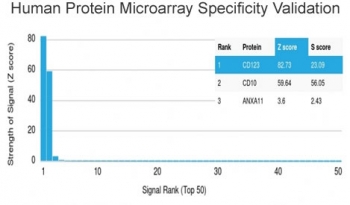 Analysis of HuProt(TM) microarray containing more than 19,000 full-length human proteins using IL3RA antibody (clone IL3RA/2065). These results demonstrate the foremost specificity of the IL3RA/2065 mAb. Z- and S- score: The Z-score represents the strength of a signal that an antibody (in combination with a fluorescently-tagged anti-IgG secondary Ab) produces when binding to a particular protein on the HuProt(TM) array. Z-scores are described in units of standard deviations (SD's) above the mean value of all signals generated on that array. If the targets on the HuProt(TM) are arranged in descending order of the Z-score, the S-score is the difference (also in units of SD's) between the Z-scores. The S-score therefore represents the relative target specificity of an Ab to its intended target.