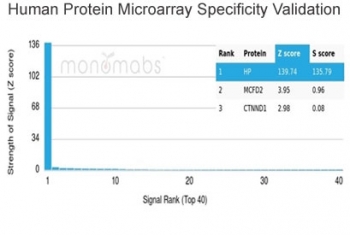 Analysis of HuProt(TM) microarray containing more than 19,000 full-length human proteins using Haptoglobin antibody (clone HP/3837). These results demonstrate the foremost specificity of the HP/3837 mAb. Z- and S- score: The Z-score represents the strength of a signal that an antibody (in combination with a fluorescently-tagged anti-IgG secondary Ab) produces when binding to a particular protein on the HuProt(TM) array. Z-scores are described in units of standard deviations (SD's) above the mean value of all signals generated on that array. If the targets on the HuProt(TM) are arranged in descending order of the Z-score, the S-score is the difference (also in units of SD's) between the Z-scores. The S-score therefore represents the relative target specificity of an Ab to its intended target.