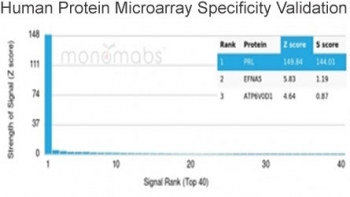 Analysis of HuProt(TM) microarray containing more than 19,000 full-length human proteins using PRL antibody (clone rPRL/4907). These results demonstrate the foremost specificity of the rPRL/4907 mAb. Z- and S- score: The Z-score represents the strength of a signal that an antibody (in combination with a fluorescently-tagged anti-IgG secondary Ab) produces when binding to a particular protein on the HuProt(TM) array. Z-scores are described in units of standard deviations (SD's) above the mean value of all signals generated on that array. If the targets on the HuProt(TM) are arranged in descending order of the Z-score, the S-score is the difference (also in units of SD's) between the Z-scores. The S-score therefore represents the relative target specificity of an Ab to its intended target.