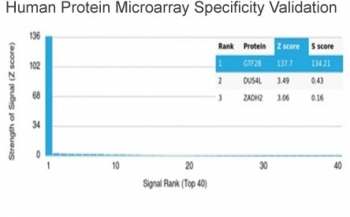 Analysis of HuProt(TM) microarray containing more than 19,000 full-length human proteins using TFIIB antibody (clone PCRP-GTF2B-1D1). These results demonstrate the foremost specificity of the PCRP-GTF2B-1D1 mAb. Z- and S- score: The Z-score represents the strength of a signal that an antibody (in combination with a fluorescently-tagged anti-IgG secondary Ab) produces when binding to a particular protein on the HuProt(TM) array. Z-scores are described in units of standard deviations (SD's) above the mean value of all signals generated on that array. If the targets on the HuProt(TM) are arranged in descending order of the Z-score, the S-score is the difference (also in units of SD's) between the Z-scores. The S-score therefore represents the relative target specificity of an Ab to its intended target.