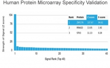Analysis of HuProt(TM) microarray containing more than 19,000 full-length human proteins using ZNF276 antibody (clone PCRP-ZNF276-1A5). These results demonstrate the foremost specificity of the PCRP-ZNF276-1A5 mAb. Z- and S- score: The Z-score represents the strength of a signal that an antibody (in combination with a fluorescently-tagged anti-IgG secondary Ab) produces when binding to a particular protein on the HuProt(TM) array. Z-scores are described in units of standard deviations (SD's) above the mean value of all signals generated on that array. If the targets on the HuProt(TM) are arranged in descending order of the Z-score, the S-score is the difference (also in units of SD's) between the Z-scores. The S-score therefore represents the relative target specificity of an Ab to its intended target.